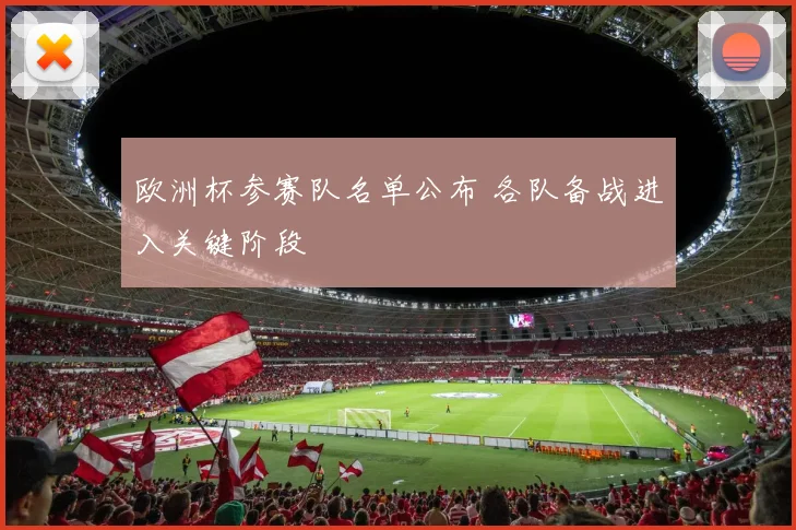 欧洲杯参赛队名单公布 各队备战进入关键阶段
