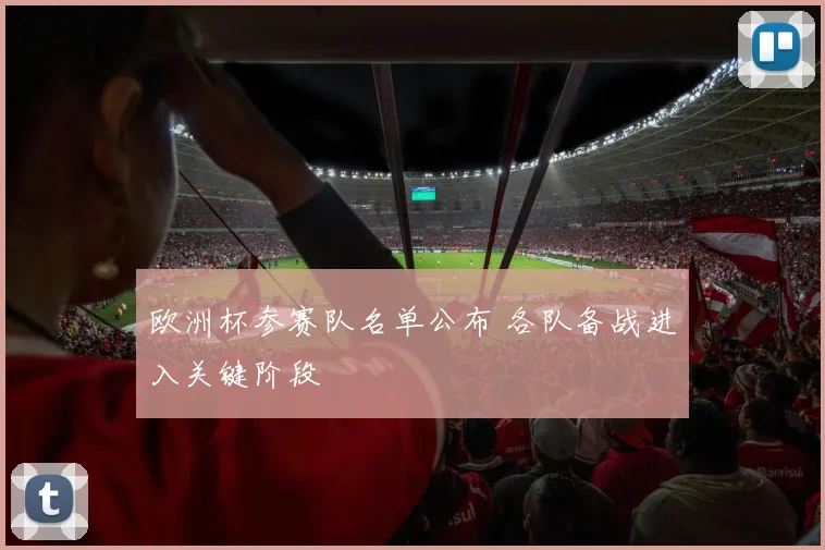 欧洲杯参赛队名单公布 各队备战进入关键阶段