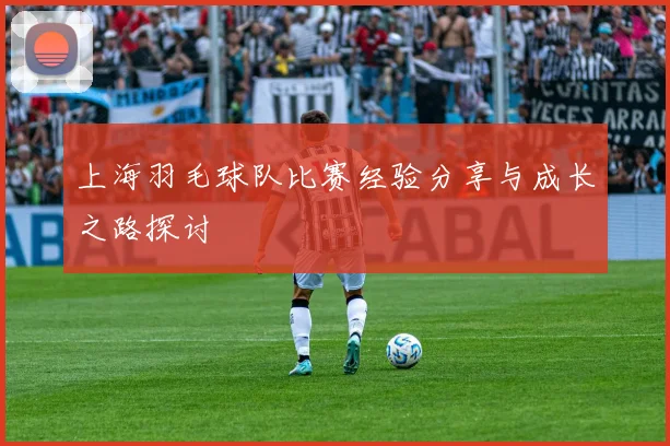 上海羽毛球队比赛经验分享与成长之路探讨