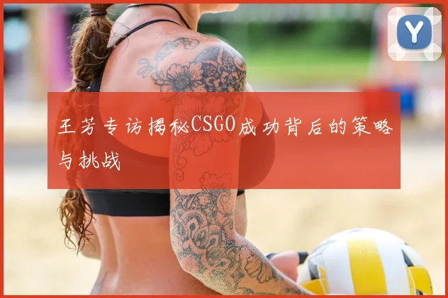 王芳专访揭秘CSGO成功背后的策略与挑战