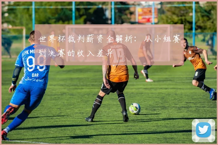世界杯裁判薪资全解析：从小组赛到决赛的收入差异