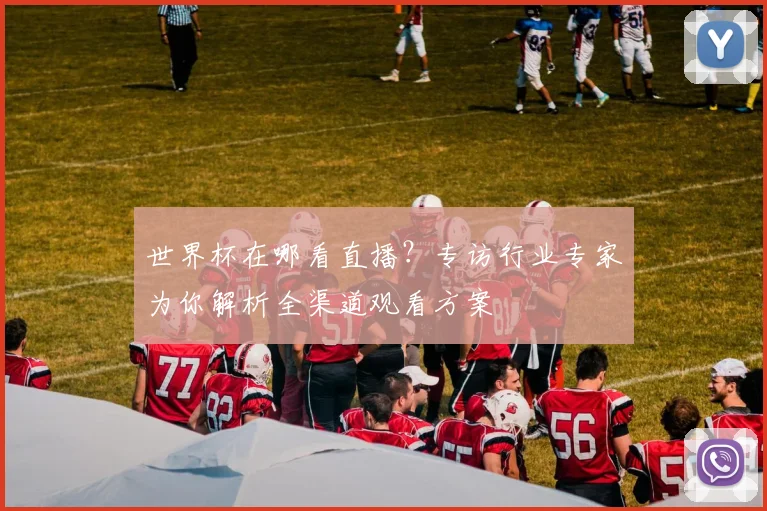 世界杯在哪看直播？专访行业专家为你解析全渠道观看方案