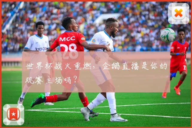 世界杯战火重燃，企鹅直播是你的观赛主场吗？