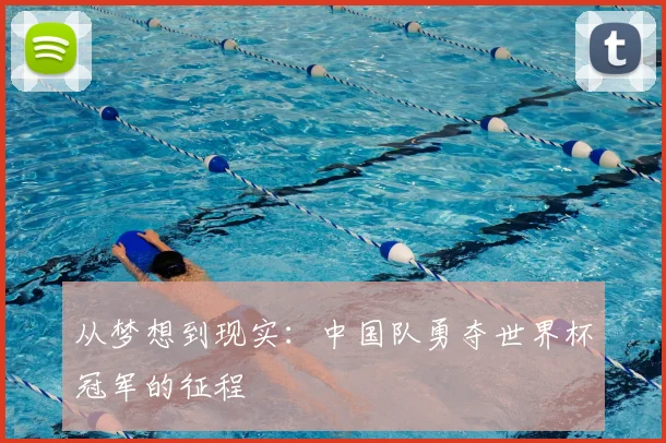 从梦想到现实：中国队勇夺世界杯冠军的征程