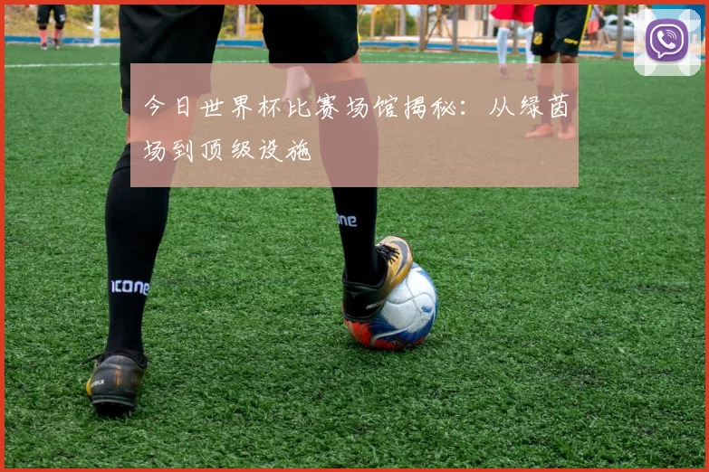 今日世界杯比赛场馆揭秘：从绿茵场到顶级设施