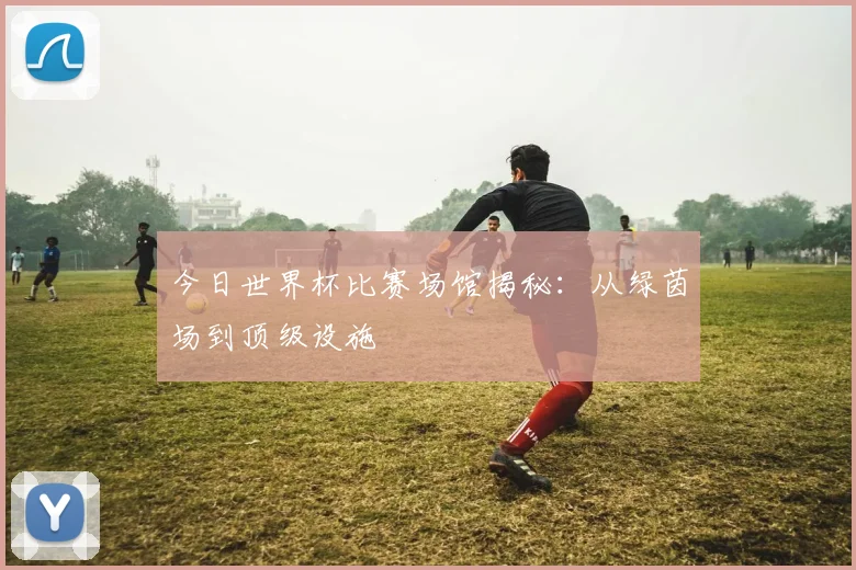 今日世界杯比赛场馆揭秘：从绿茵场到顶级设施