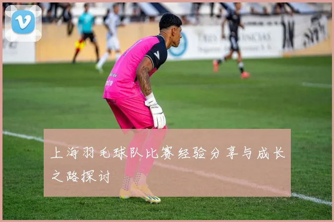 上海羽毛球队比赛经验分享与成长之路探讨